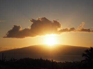 Obraz premium OLYMPUS DIGITAL CAMERA