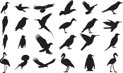 Diverse Bird Silhouettes