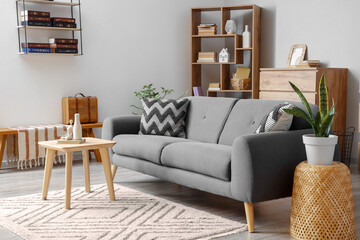 Cozy sofa, coffee table and bookcases in interior of living room