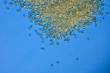 Polycarbonate plastic granules on blue background, virgin polymer in plastic industry