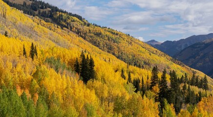 USA, Colorado, Uncompahgre National Forest. San Juan Mountains and aspen forest in autumn sunset.