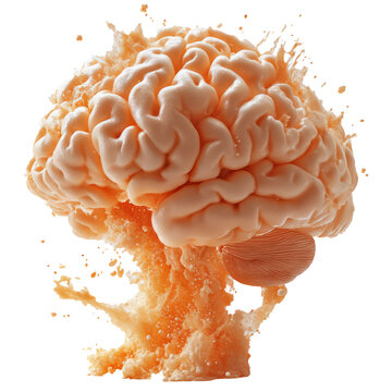 Brain explode isolated on transparent and white background