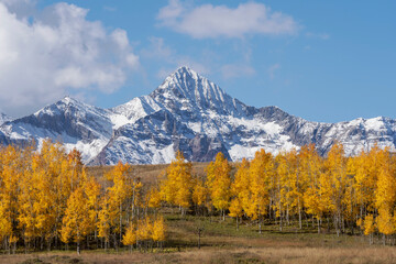 USA, Colorado, Uncompahgre National Forest. Wilson Peak and grove of aspen trees in autumn.