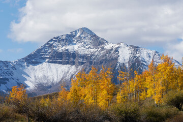 USA, Colorado, Uncompahgre National Forest. Sunshine Mountain and grove of aspen trees in autumn.