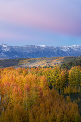 USA, Colorado, Uncompahgre National Forest. San Juan Mountains and aspen forest in autumn sunset.