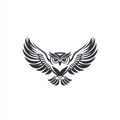 Obraz premium Owl in flight, isolated on white, design element