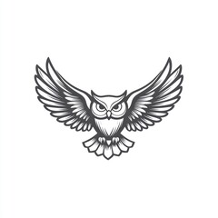 Owl in flight, white background, wildlife illustration, logo design