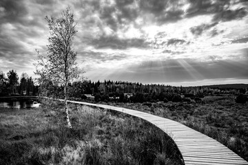 A winding wooden path leads through the tranquil Pernink peat bog during autumn, surrounded by lush...