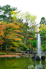 Fototapeta premium 白山神社の紅葉（新潟県）