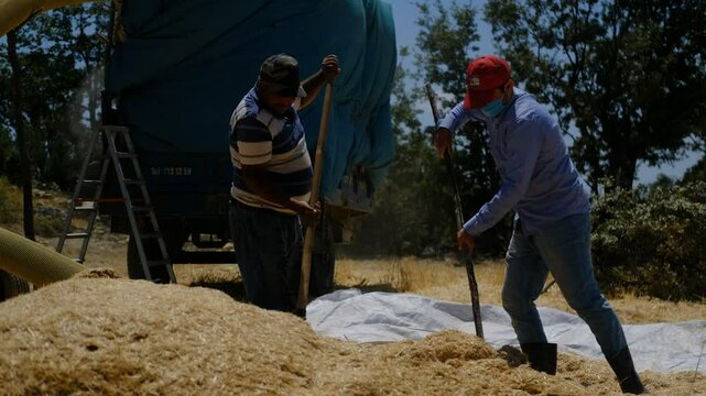 Hay sprayer worker