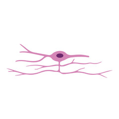 cajal neuron colored icon