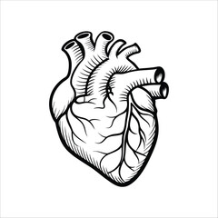 Human Hart Line Art Outline Stroke Vector Art Illustration Design Template