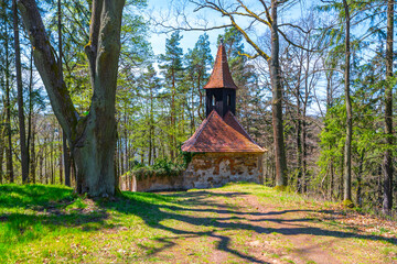 A tranquil scene showcasing the Saint Zdislava Rock Chapel nestled among forest trees with shadows...