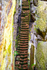 Visitors traverse the long, moss-covered staircase within the historic castle ruins of Sloup v Cechach, surrounded by ancient stone walls and autumn foliage.