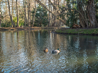 W parku nad rzeczką © EwaAF