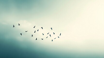   A group of birds soaring above the sky against a blue backdrop with cloudy scenery before them