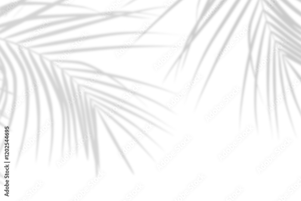 Wall mural realistic palm leaf shadow overlay effect isolated on white background, natural shadow of tropical p