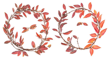 Crafted Circular Wreaths of Autumn Leaves on Display Generative AI