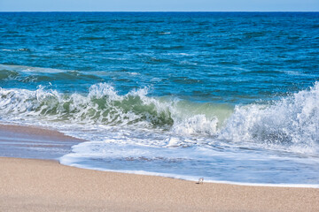 Color stock image of Crashing waves, Florida