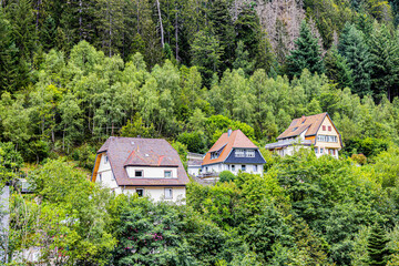 house in the woods