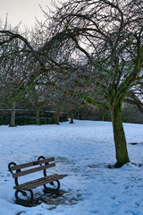 Snow-Covered Park with Wooden Bench and Bare Trees in Harrogate, UK.