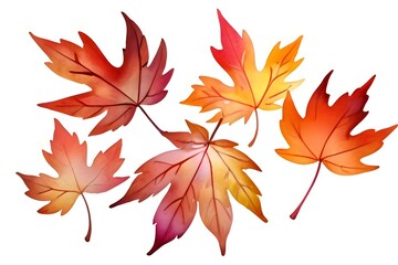 Obraz premium Beautiful autumn maple leaves in warm gradient colors from red to orange, perfect for seasonal designs and fall themed projects. Isolated elements on white background.