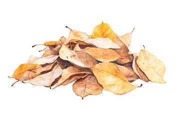 Watercolor pile of dry leaves isolated on a white background