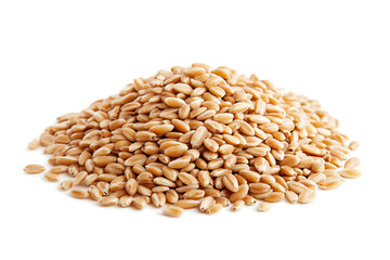Fototapeta premium Wheat isolated on a white background