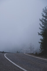 Naklejka premium The road through the foggy forest