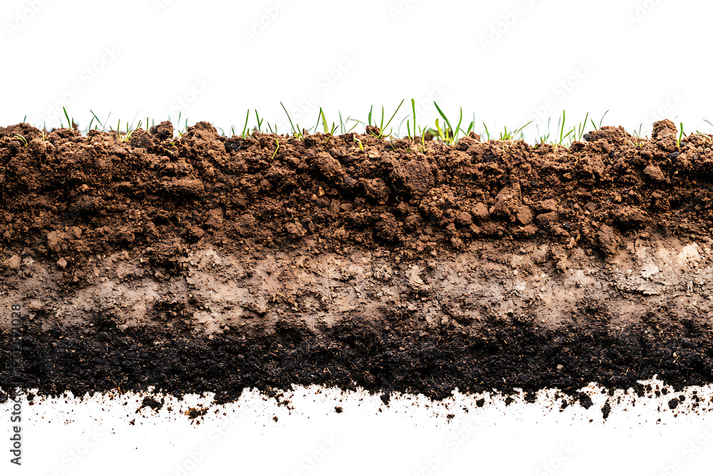 Poster soil isolated on a white background