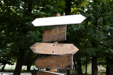 letreros con señaletica y flechas en medio del bosque