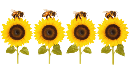 Bees Pollinating Vibrant Sunflowers on a Clear Day Generative AI