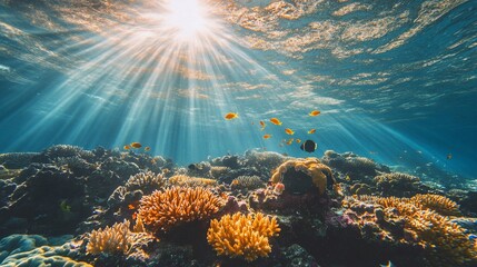 Obraz premium Sunlight filtering through clear ocean water illuminates a vibrant coral reef and schools of fish