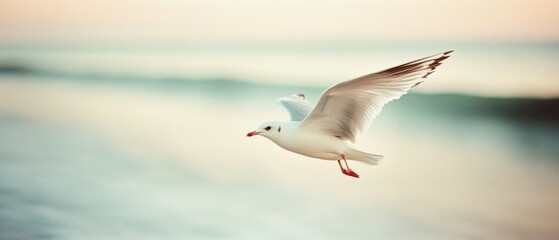 Fototapeta premium A seagull soars gracefully above calm waters at sunset, capturing the essence of freedom and serene beauty in flight.