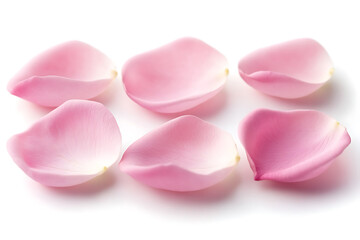 Fototapeta premium Set of pink rose petals isolated a white background