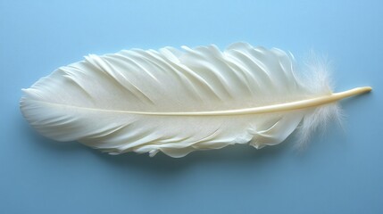 A delicate white feather resting on a soft blue background, showcasing its intricate details.