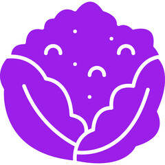 Cauliflower icon single vector illustration