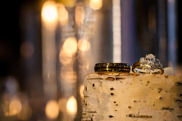 Elegant black and silver wedding bands on a decorative willow log
