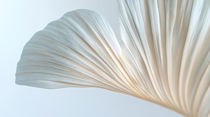 Pale leaf, elegant curve, studio backdrop, minimalist design, decor