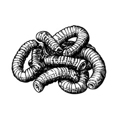 Artistic illustration of curled caterpillars in a detailed black and white design showcasing nature's intricate beauty