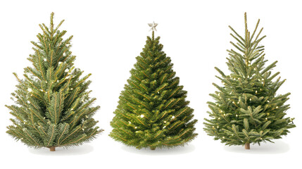 Fototapeta premium Christmas Tree Collection on Transparent Background Generative AI