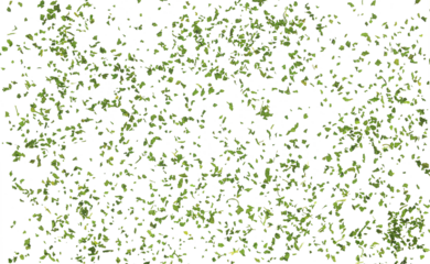 Chopped dry parsley leaves flying, isolated on white, clipping 