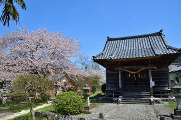 春の咲花温泉（新潟県）