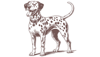 Dalmatian dog vector | dog vector | dog illustration | dog silhouette | dog tattoo | dog engraving | dog drawing