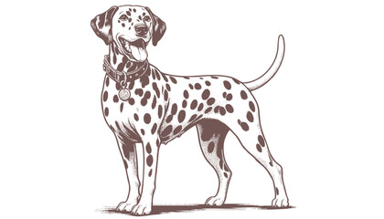 Dalmatian dog vector | dog vector | dog illustration | dog silhouette | dog tattoo | dog engraving | dog drawing
