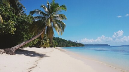 Obraz premium Idyllic tropical beach scene with leaning palm tree, white sand, turquoise water, and lush greenery under a clear blue sky.