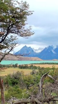 Journey through the breathtaking wilderness of Los Alerces National Park in Patagonia, Argentina, as towering mountains meet vibrant lakes under a dramatic sky, creating a serene natural paradise.