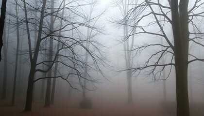 Misty Winter Forest Scene Bare Trees Foggy cold calm grey blue dark   