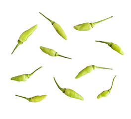 green chili pattern isolated element