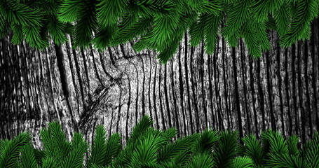 Green pine branches framing weathered wooden texture, creating festive image © vectorfusionart